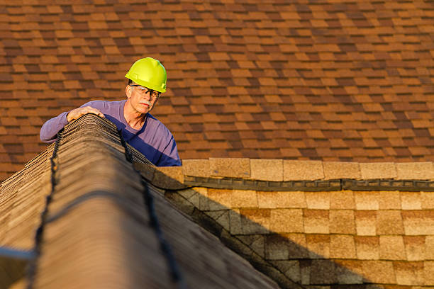 Roof Gutter Cleaning in Lake Erie Beach, NY